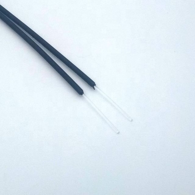 Clear PMMA fiber tips exposed from black jacket
